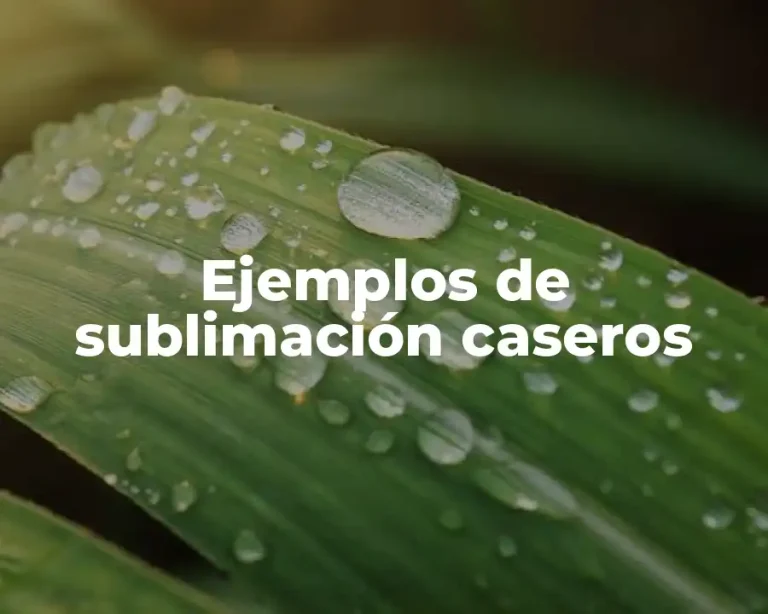 Ejemplos de sublimación caseros