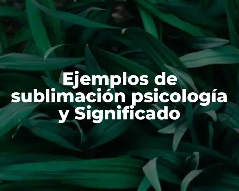 Ejemplos de sublimación psicología y Significado
