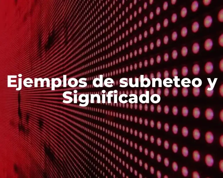 Ejemplos de subneteo y Significado