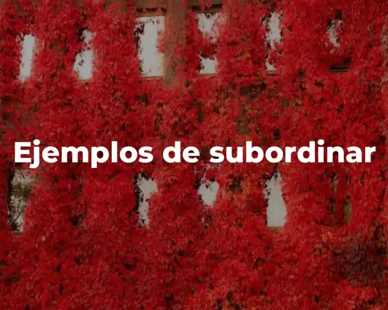 Ejemplos de subordinar