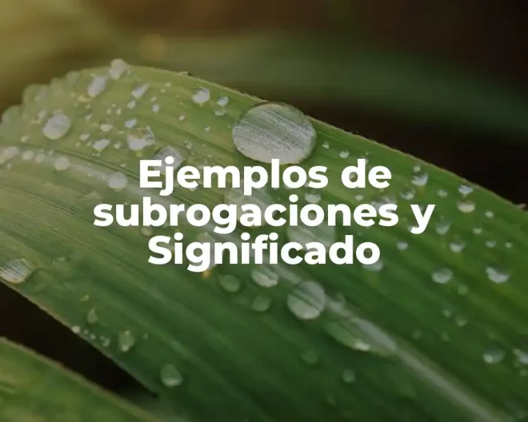 Ejemplos de subrogaciones y Significado