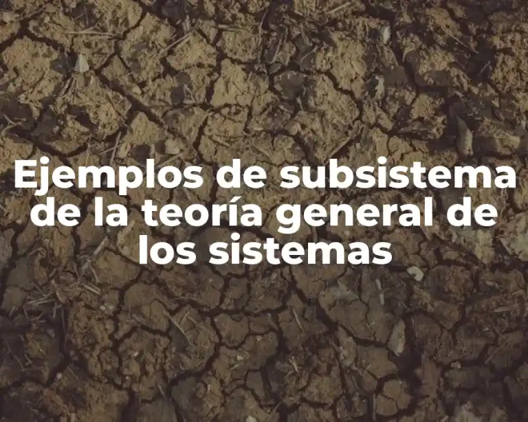 Ejemplos de subsistema de la teoría general de los sistemas