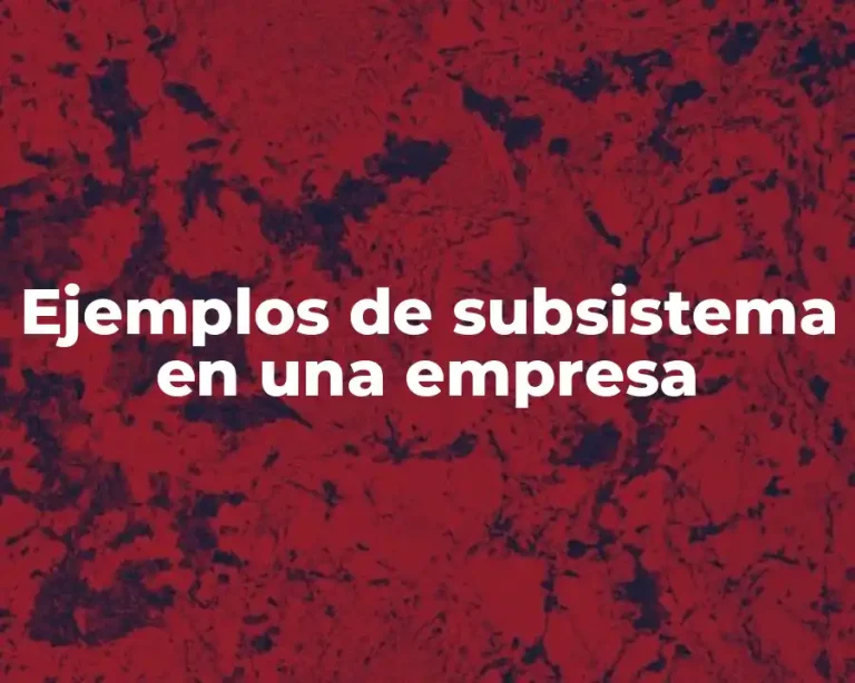 Ejemplos de subsistema en una empresa