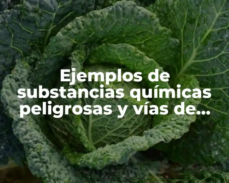 Ejemplos de substancias químicas peligrosas y vías de incorporación