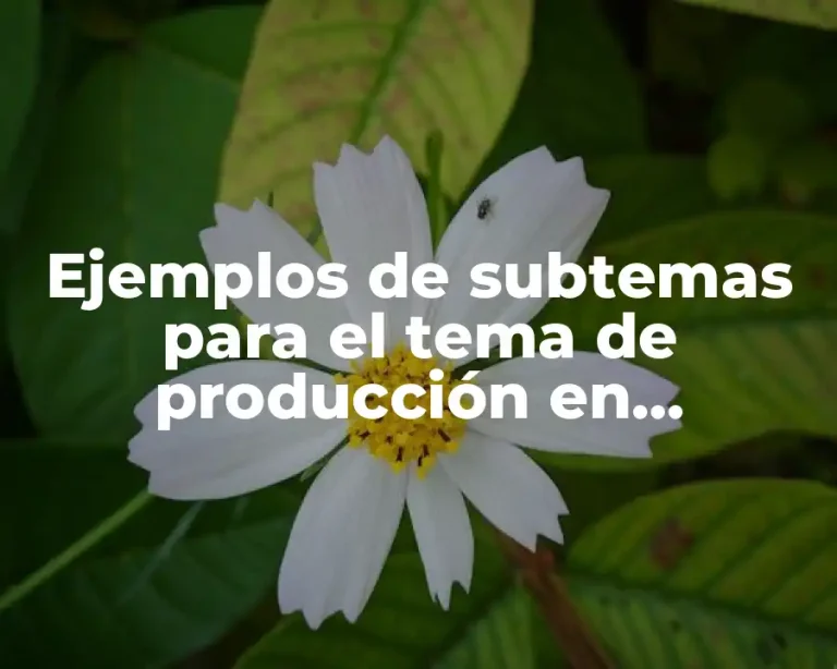 Ejemplos de subtemas para el tema de producción en microeconomía.