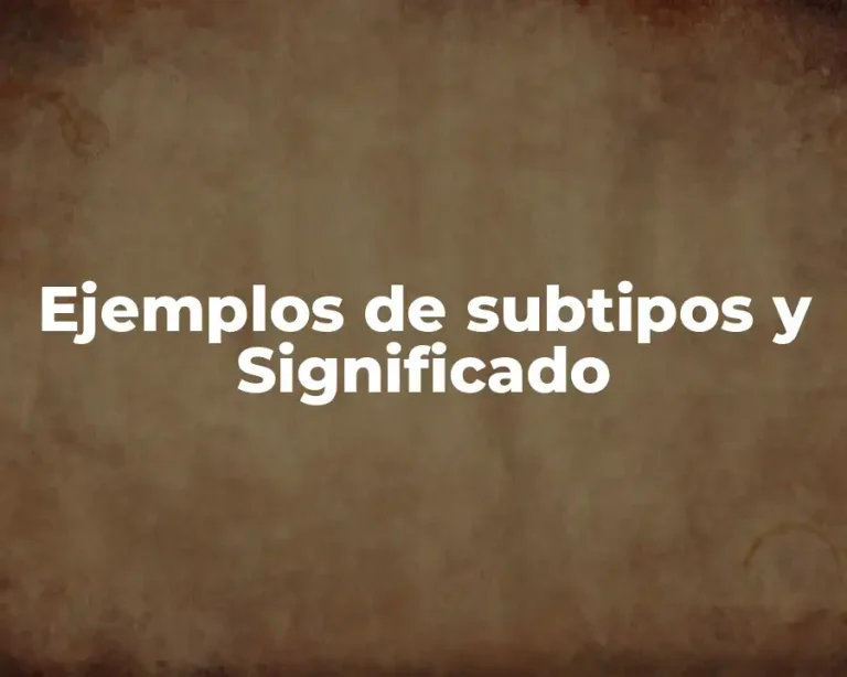 Ejemplos de subtipos y Significado