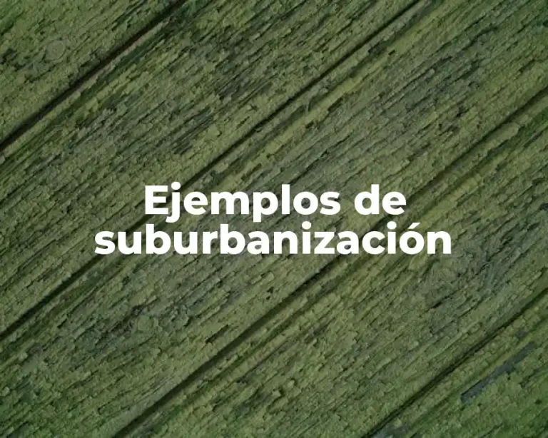 Ejemplos de suburbanización