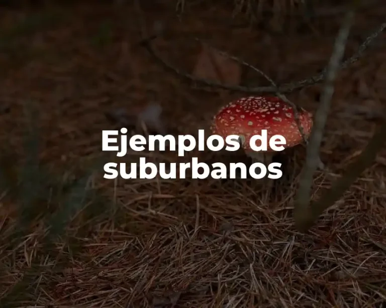 Ejemplos de suburbanos