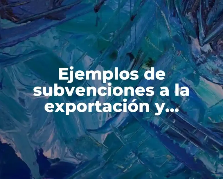 Ejemplos de subvenciones a la exportación y Significado
