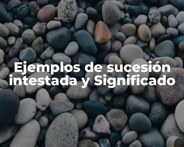 Ejemplos de sucesión intestada y Significado
