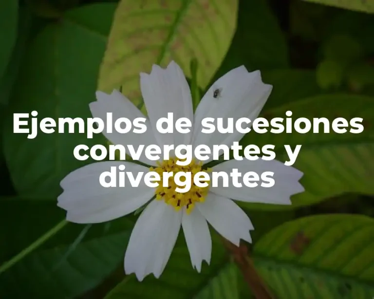 Ejemplos de sucesiones convergentes y divergentes