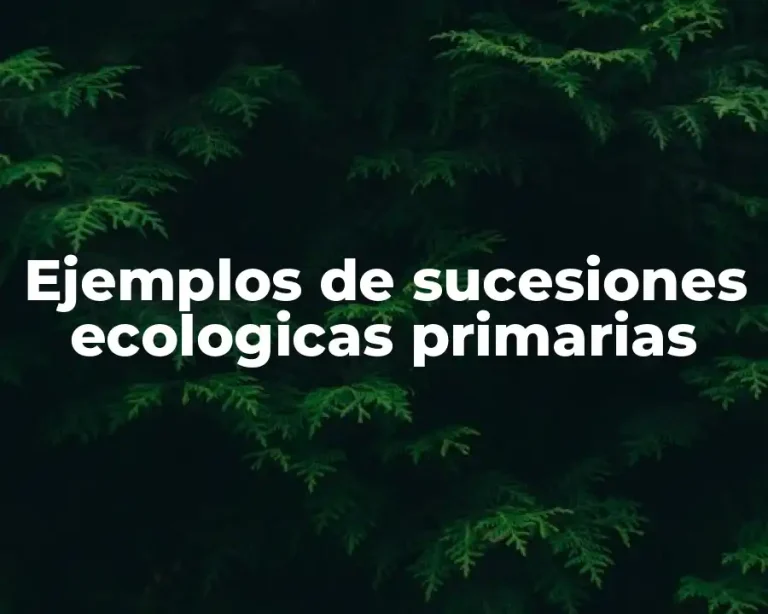 Ejemplos de sucesiones ecologicas primarias