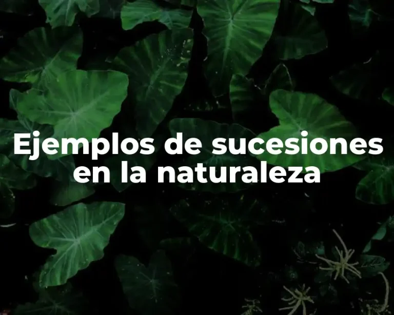 Ejemplos de sucesiones en la naturaleza