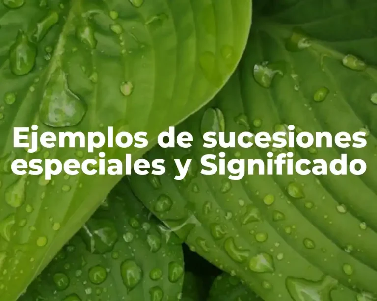 Ejemplos de sucesiones especiales y Significado