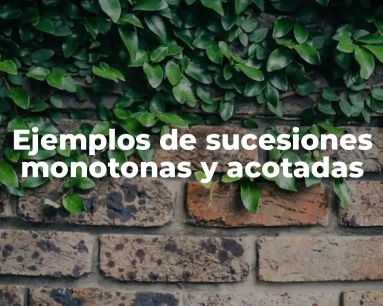 Ejemplos de sucesiones monotonas y acotadas