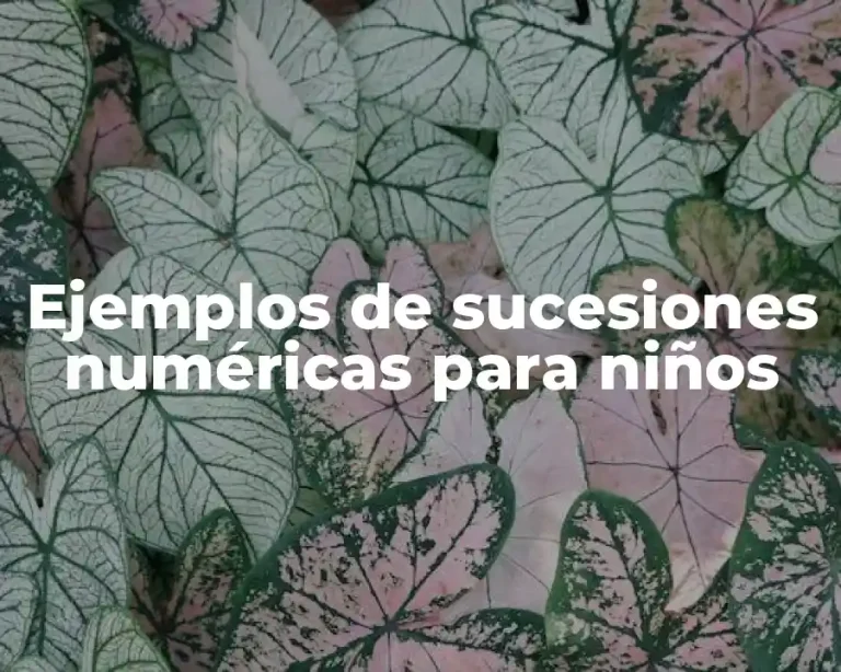 Ejemplos de sucesiones numéricas para niños