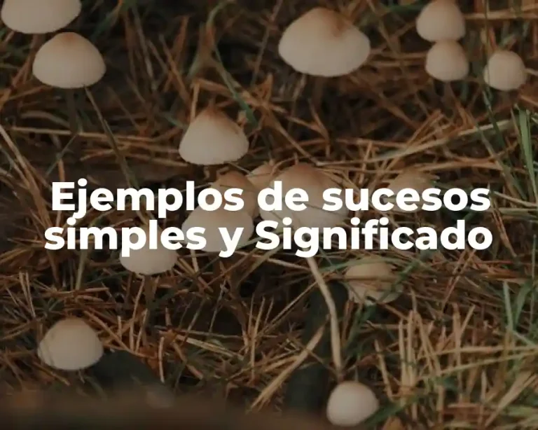 Ejemplos de sucesos simples y Significado