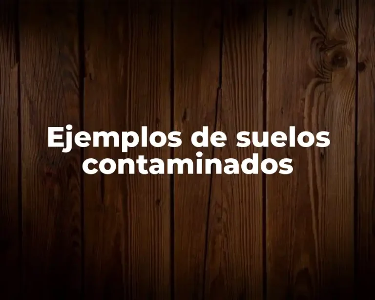 Ejemplos de suelos contaminados