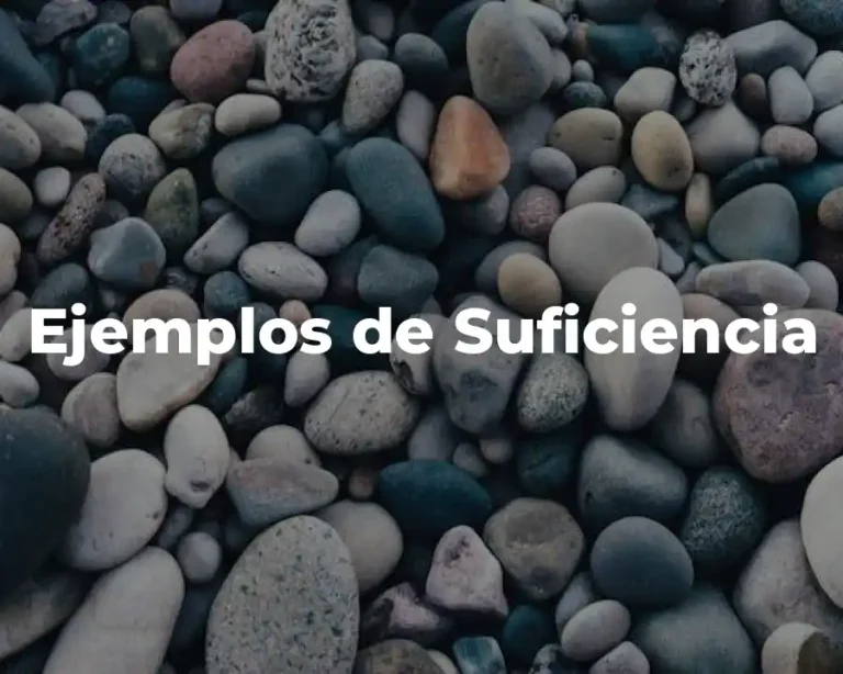 Ejemplos de Suficiencia