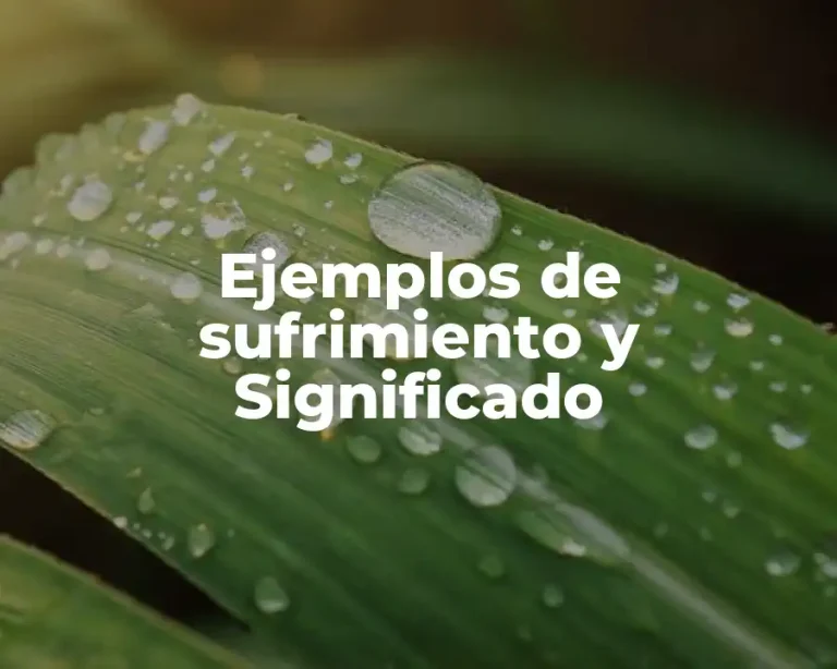 Ejemplos de sufrimiento y Significado
