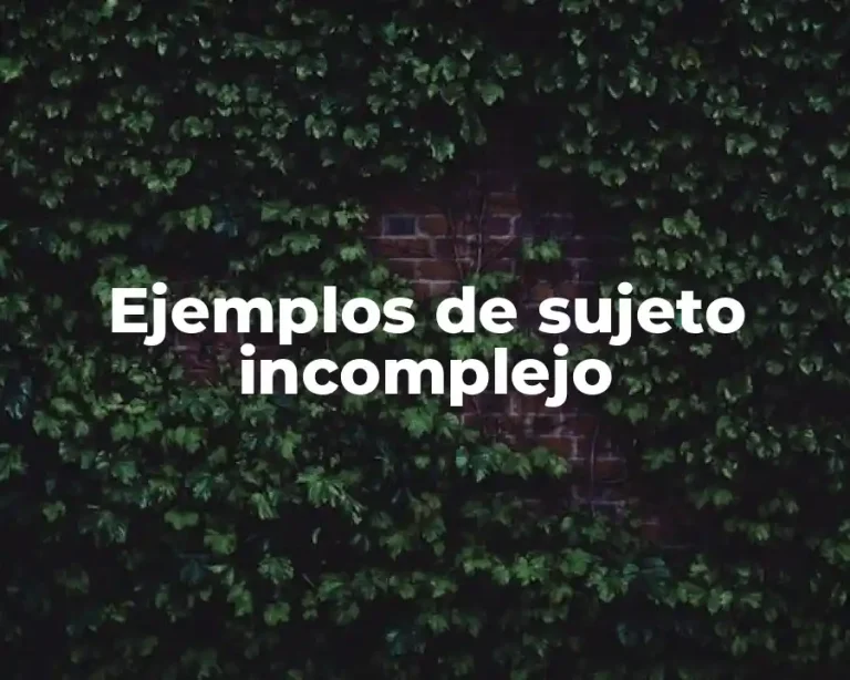Ejemplos de sujeto incomplejo