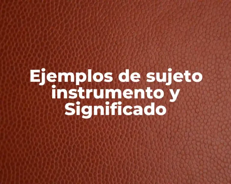 Ejemplos de sujeto instrumento y Significado