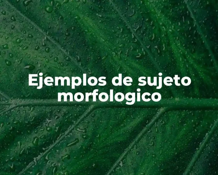 Ejemplos de sujeto morfologico