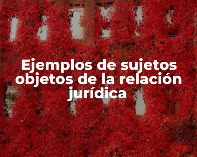Ejemplos de sujetos objetos de la relación jurídica