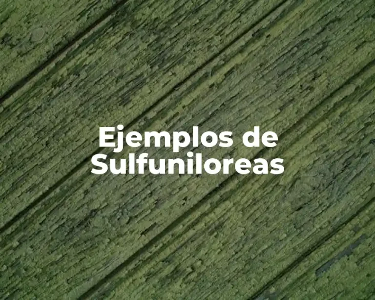 Ejemplos de Sulfuniloreas