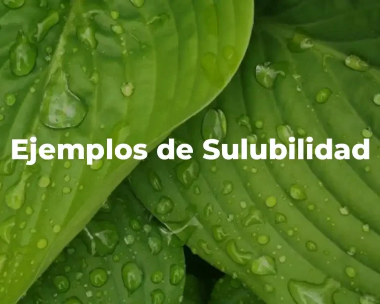 Ejemplos de Sulubilidad