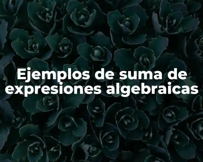 Ejemplos de suma de expresiones algebraicas