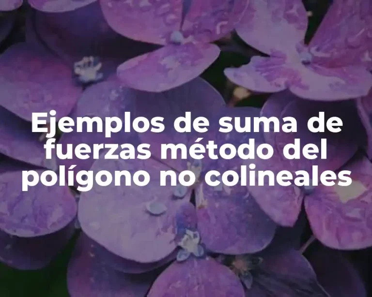 Ejemplos de suma de fuerzas método del polígono no colineales