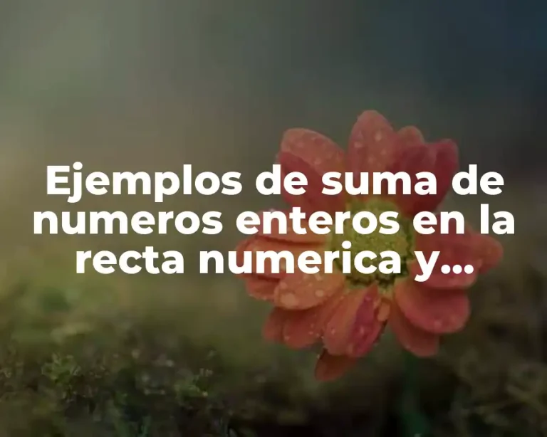 Ejemplos de suma de numeros enteros en la recta numerica y Significado
