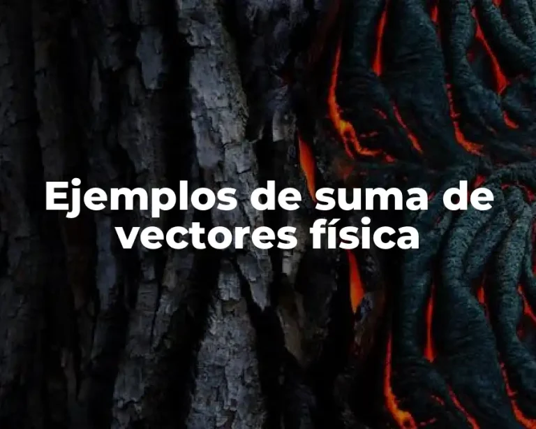 Ejemplos de suma de vectores física
