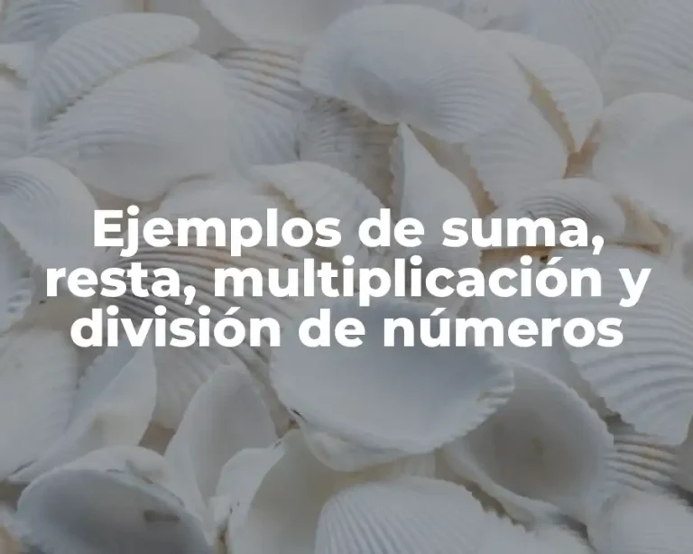Ejemplos de suma, resta, multiplicación y división de números