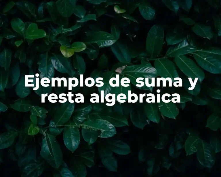 Ejemplos de suma y resta algebraica