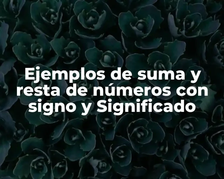 Ejemplos de suma y resta de números con signo y Significado