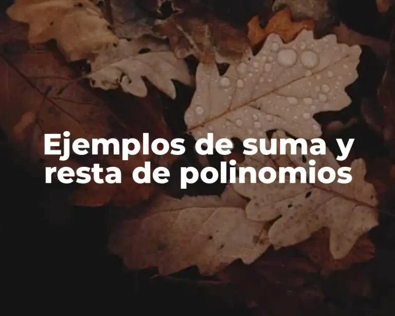 Ejemplos de suma y resta de polinomios