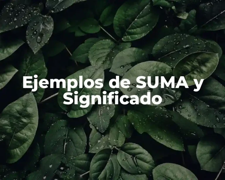 Ejemplos de SUMA y Significado