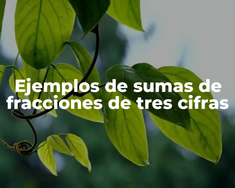 Ejemplos de sumas de fracciones de tres cifras
