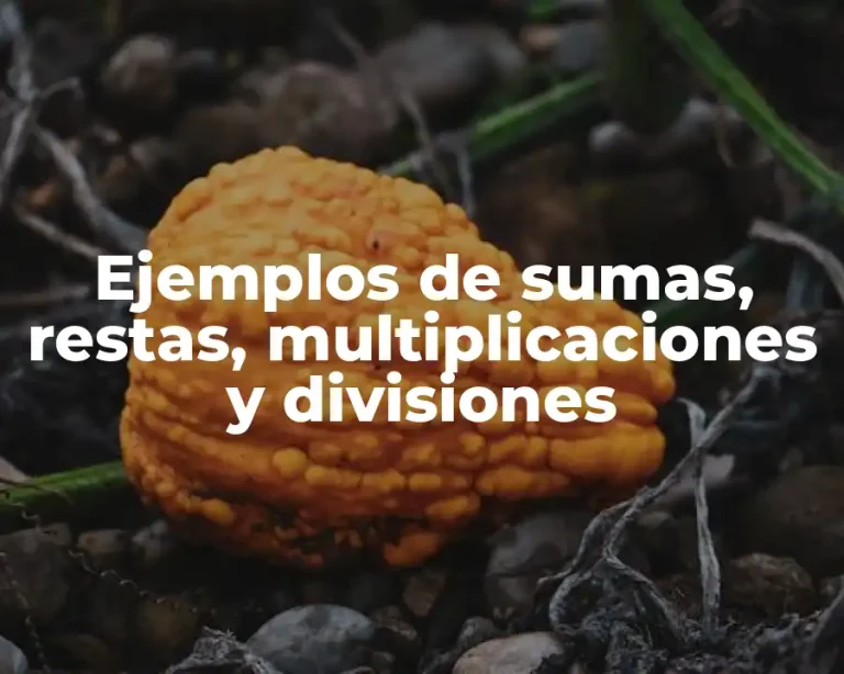 Ejemplos de sumas, restas, multiplicaciones y divisiones
