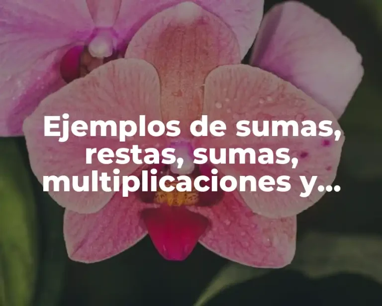 Ejemplos de sumas, restas, sumas, multiplicaciones y diviciones de