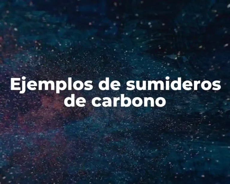 Ejemplos de sumideros de carbono