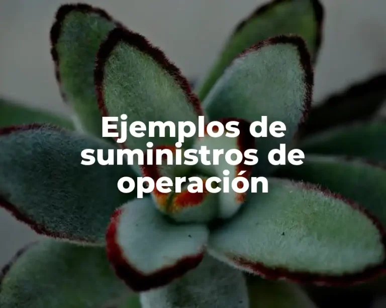 Ejemplos de suministros de operación