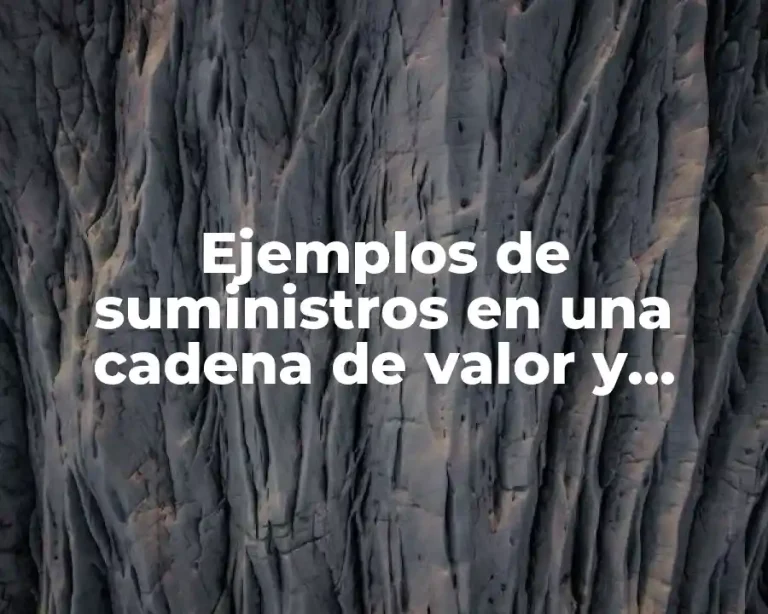 Ejemplos de suministros en una cadena de valor y Significado