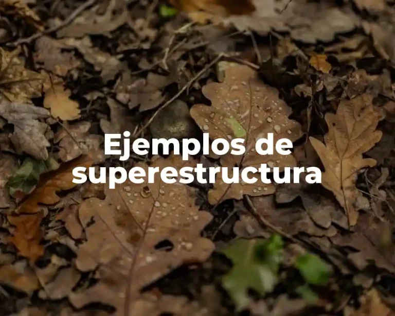 Ejemplos de superestructura