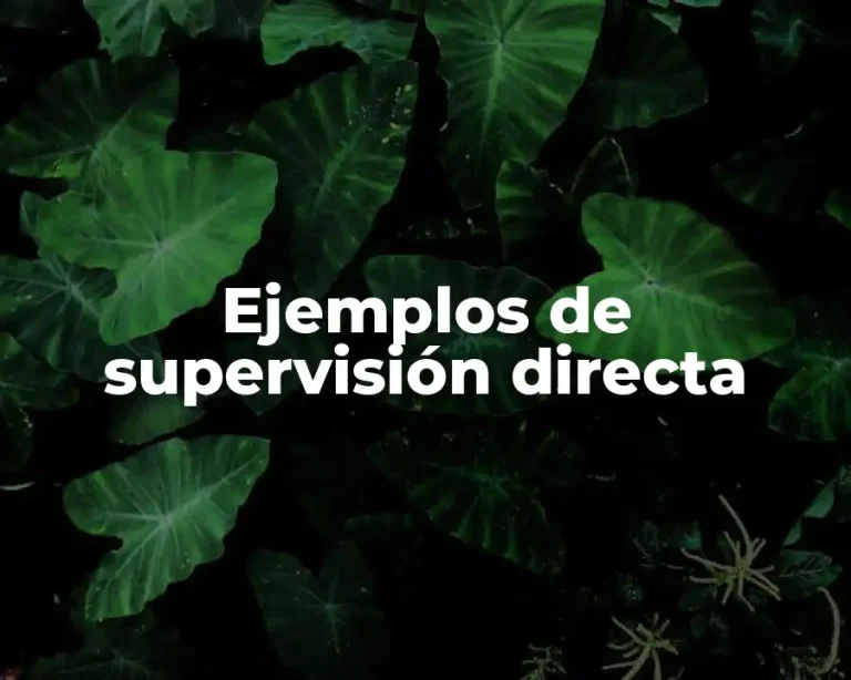 Ejemplos de supervisión directa