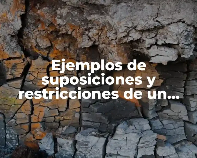 Ejemplos de suposiciones y restricciones de un proyecto