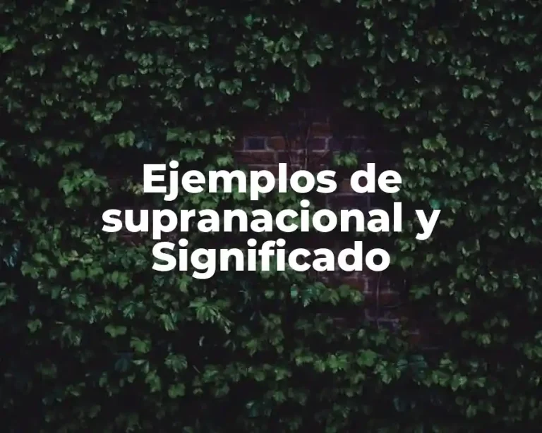 Ejemplos de supranacional y Significado