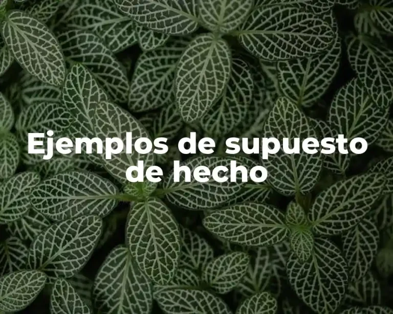 Ejemplos de supuesto de hecho